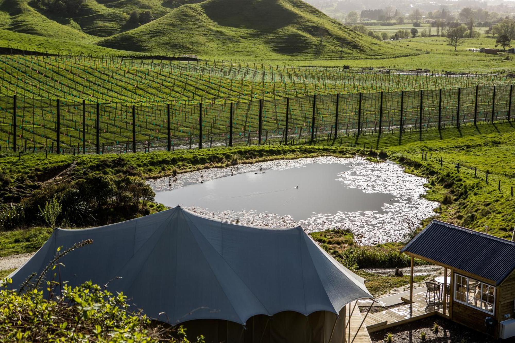 Orchard Valley Glamping Otorohanga Ngoại thất bức ảnh